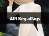 API Key aPays