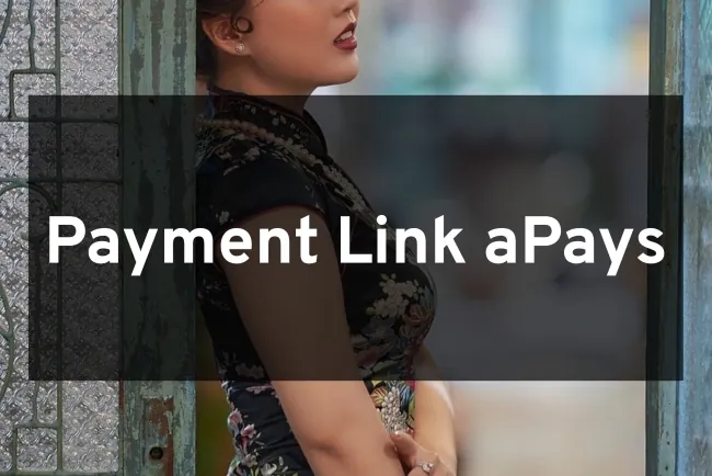 aPay Payment Link