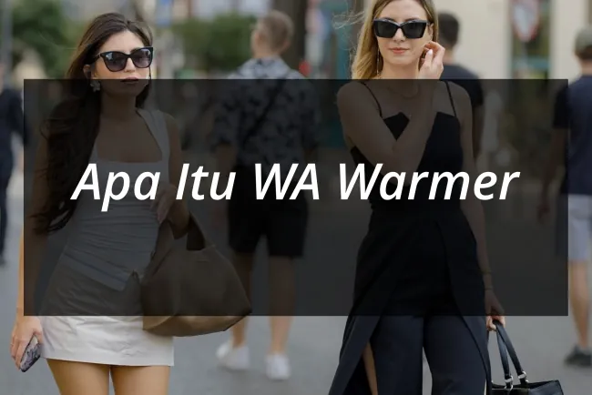 WhatsApp Warmer