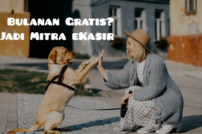 Mitra eKasir