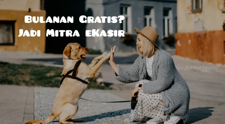 Mitra eKasir