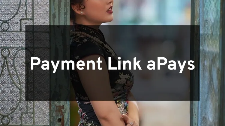 aPay Payment Link
