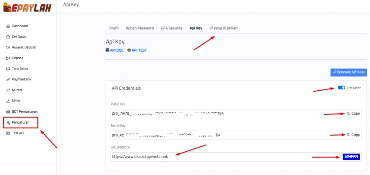 API Key ePaylah