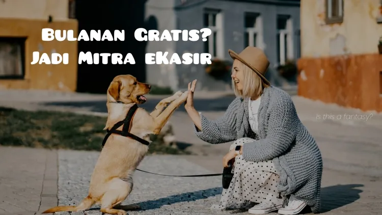 Mitra eKasir